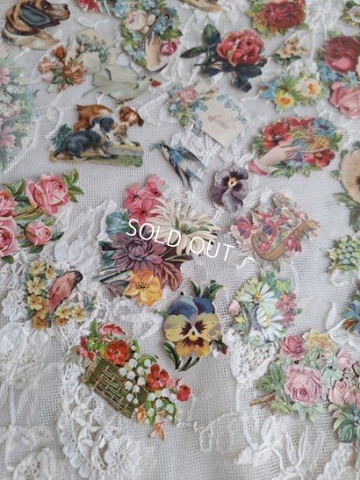 画像7: クロモスセット