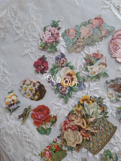 画像11: クロモスセット