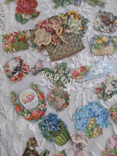 画像12: クロモスセット