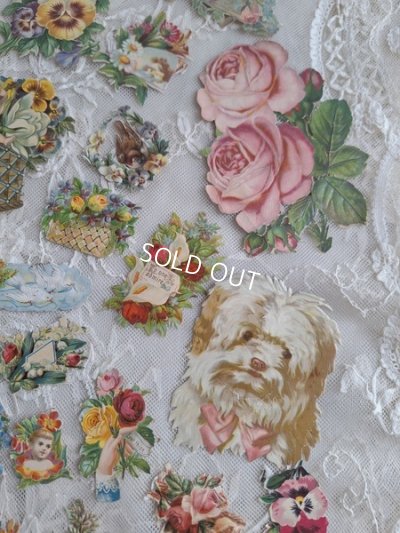 画像13: クロモスセット