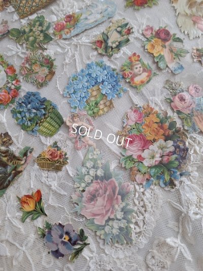 画像15: クロモスセット