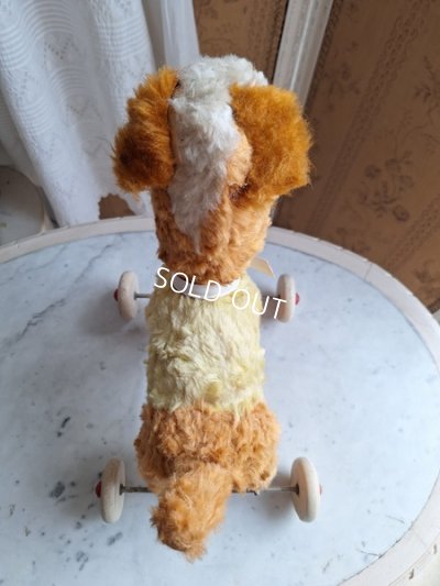 画像6: 車輪付きワンちゃん
