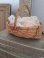 basket