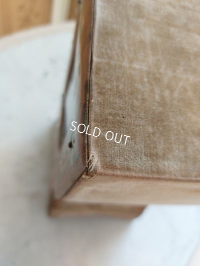 画像17: 天使のガラスケース