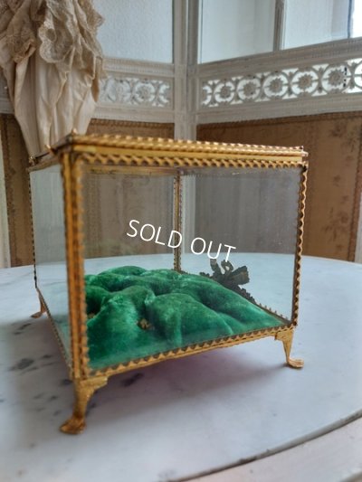 画像9: アンティークマリアージュガラスケース（ワックスフラワー）