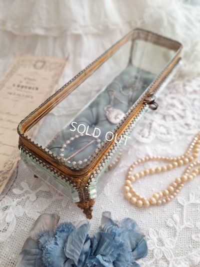Antiqueglasscase
