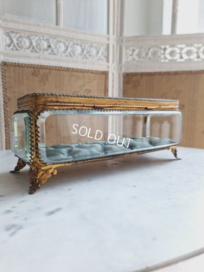 画像4: アンティーククッション付ガラスケース