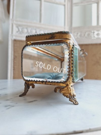 画像10: アンティーククッション付ガラスケース