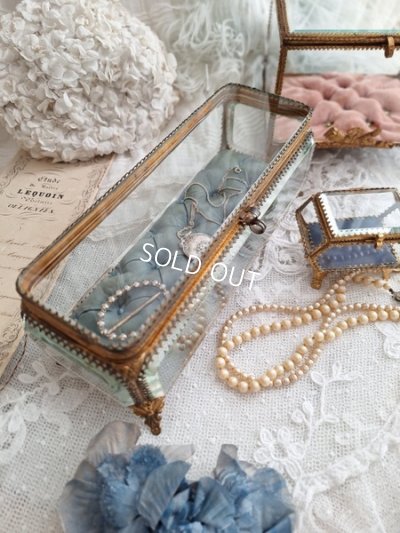 画像20: アンティーククッション付ガラスケース