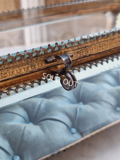 画像6: アンティーククッション付ガラスケース