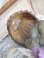 画像8: アンティーク懐中時計ハンガー (8)