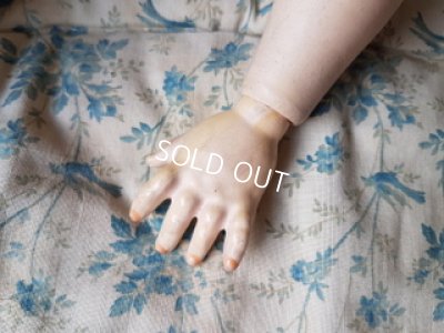 画像3: アーモンドマルセルビスクドールAM390