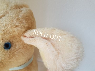 画像7: フレンチラム