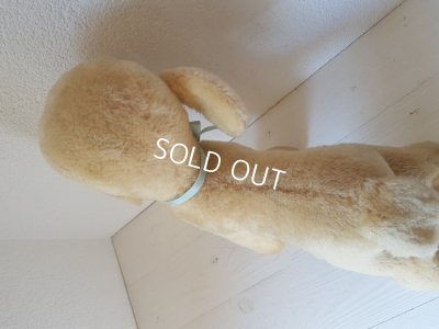 画像10: フレンチラム