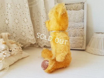 画像4: ペディグリー社テディベア