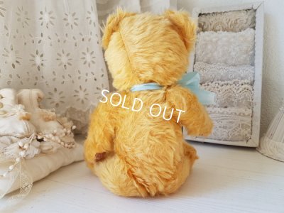 画像5: ペディグリー社テディベア