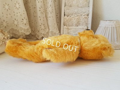 画像9: ペディグリー社テディベア