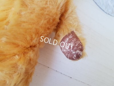 画像13: ペディグリー社テディベア