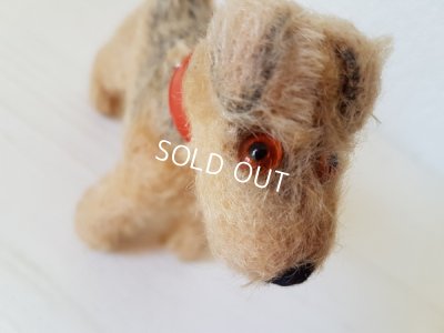 画像7: ハーマン社ヴィンテージテリア