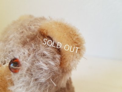 画像6: アンティークテディべア