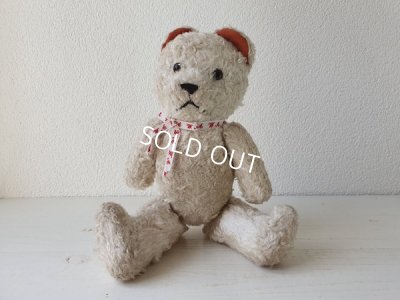 画像14: フレンチホワイトテディベア