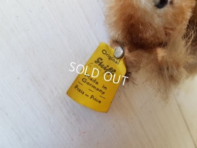 画像3: シュタイフ社りすPossy