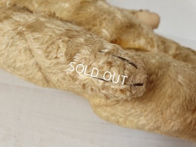 画像7: アンティ―クテディベア