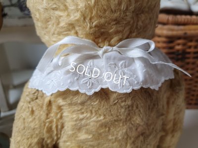 画像5: アンティ―クテディベア