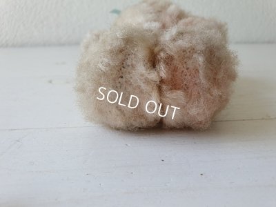 画像6: フレンチピンクテディべア