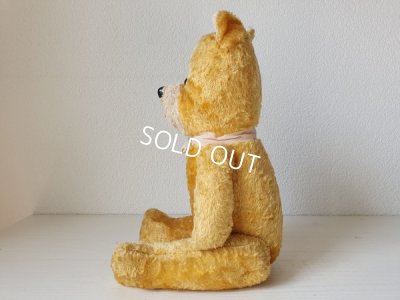 画像9: フレンチテディベア