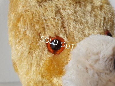 画像3: フレンチテディベア