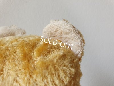 画像5: フレンチテディベア