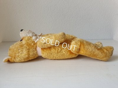 画像10: フレンチテディベア