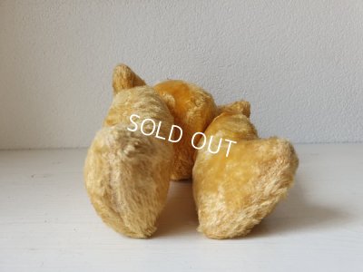 画像11: フレンチテディベア