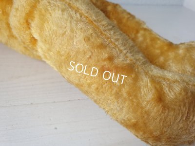 画像13: フレンチテディベア