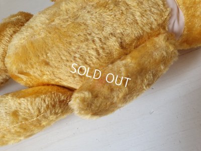 画像14: フレンチテディベア