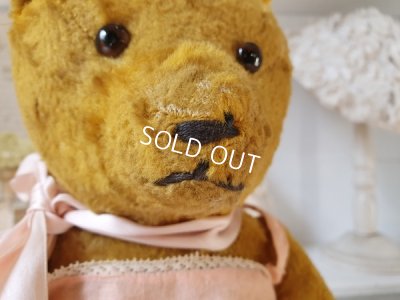 画像5: アンティ―クテディベア