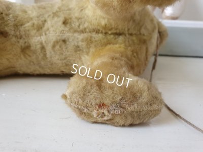 画像9: アンティークフランスドッグ