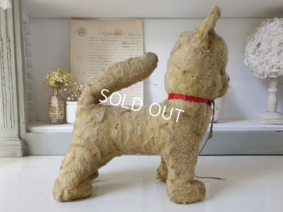 画像7: アンティークフランスドッグ