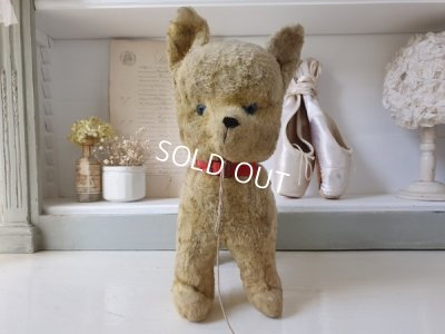 画像6: アンティークフランスドッグ