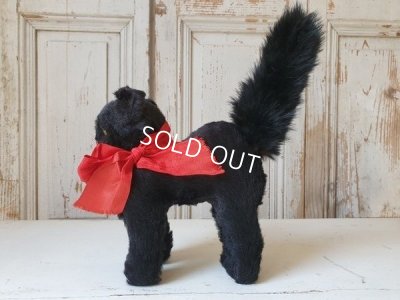 画像10: 黒猫トムキャット