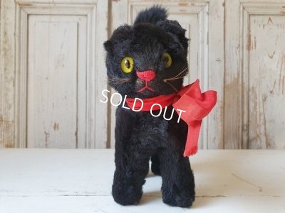 画像8: 黒猫トムキャット