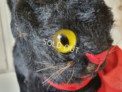 画像3: 黒猫トムキャット