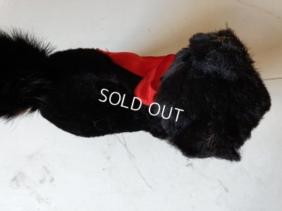 画像7: 黒猫トムキャット