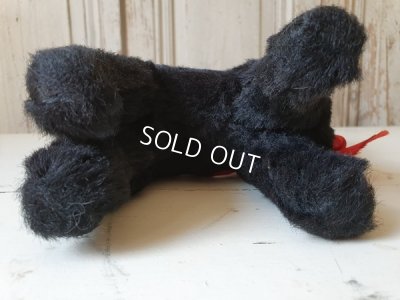 画像6: 黒猫トムキャット