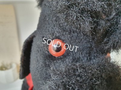 画像6: 車輪付きプードル