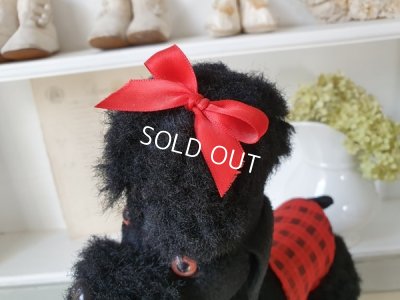 画像8: 車輪付きプードル