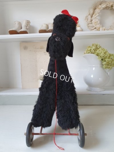 画像2: 車輪付きプードル
