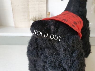 画像13: 車輪付きプードル