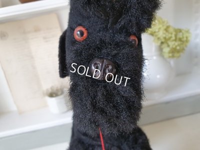 画像16: 車輪付きプードル